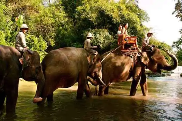 elephant ride elephant ride